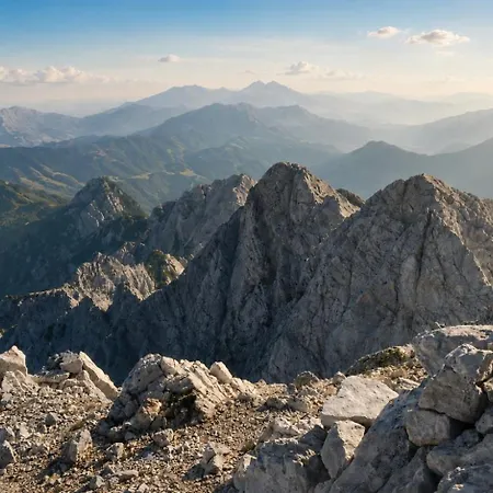 Alpine Forest